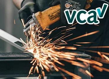 VCA examen (los)